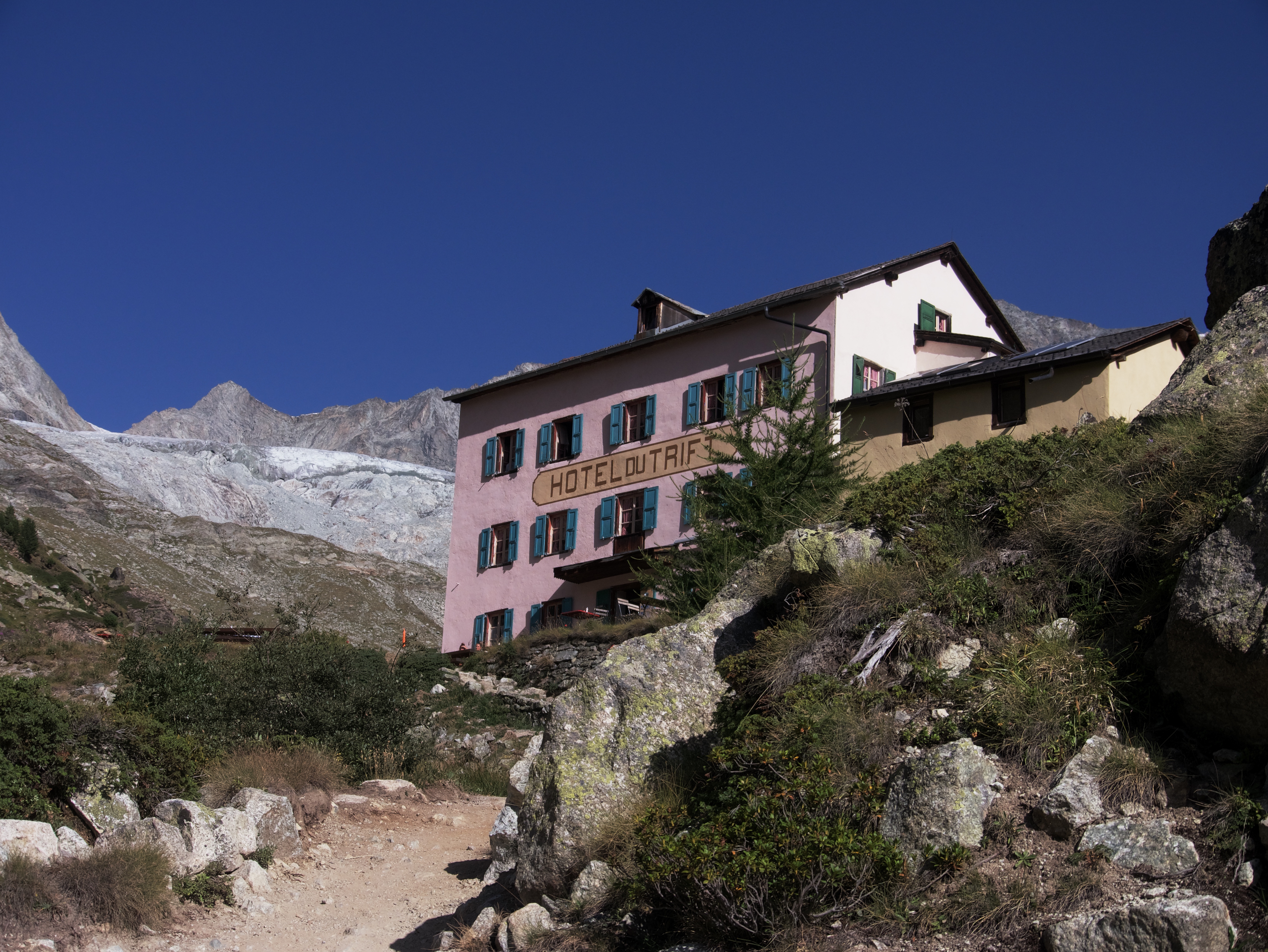 hoteledelwise.jpg|300